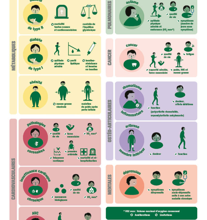 Activite Physique Chez Les Seniors Complet HEdS-FR — Rapport d'activité 2022